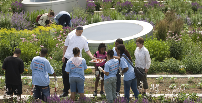 A Rooftop Haven for Urban Agriculture