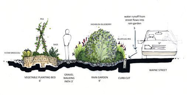 A Residential Guide to Edibility