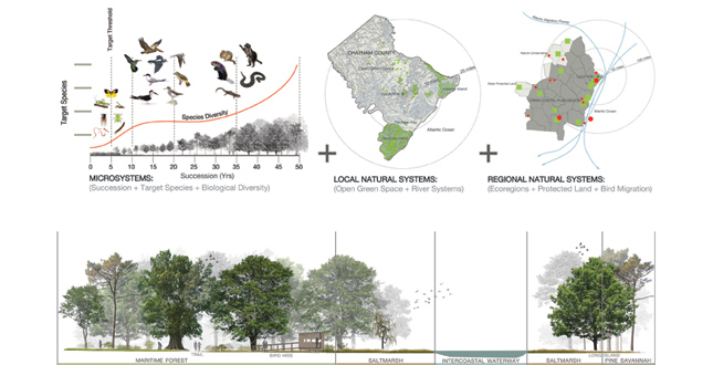 Wormsloe: Reenvisioning a Cultural Landscape