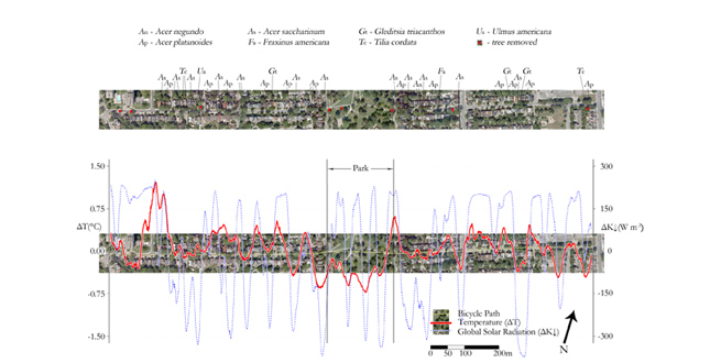 The Cooling Ability of Urban Parks