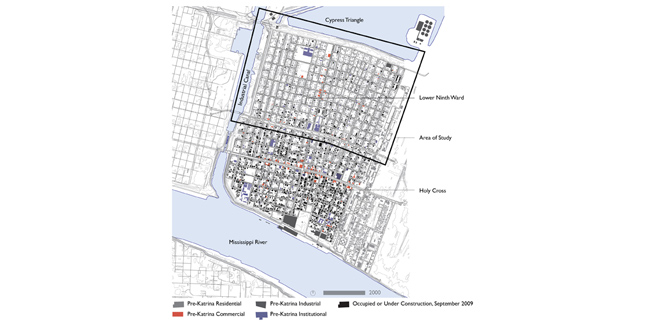 Puddlescape : Freshwater Marsh and the Urban Matrix