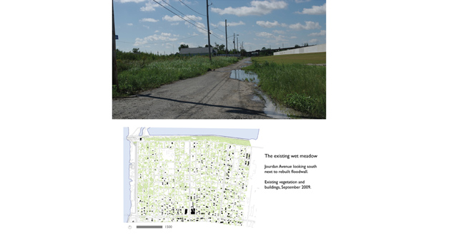 Puddlescape : Freshwater Marsh and the Urban Matrix