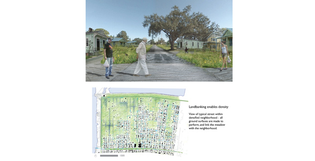 Puddlescape : Freshwater Marsh and the Urban Matrix