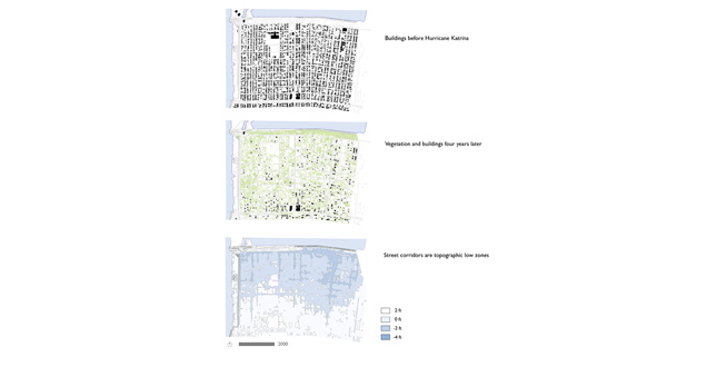 Puddlescape : Freshwater Marsh and the Urban Matrix