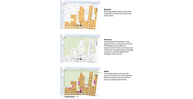 Puddlescape : Freshwater Marsh and the Urban Matrix