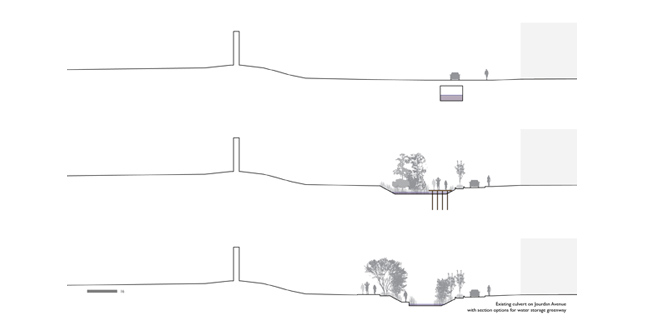 Puddlescape : Freshwater Marsh and the Urban Matrix