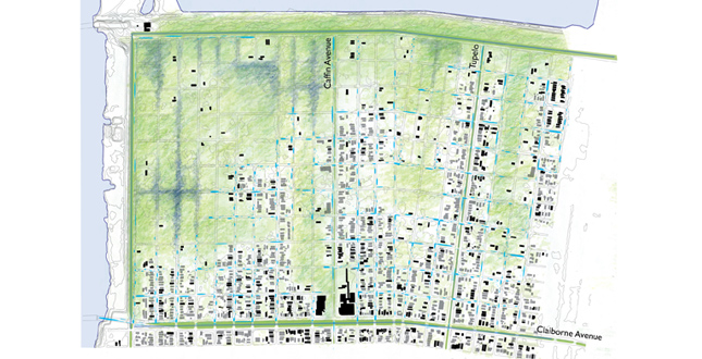 Puddlescape : Freshwater Marsh and the Urban Matrix