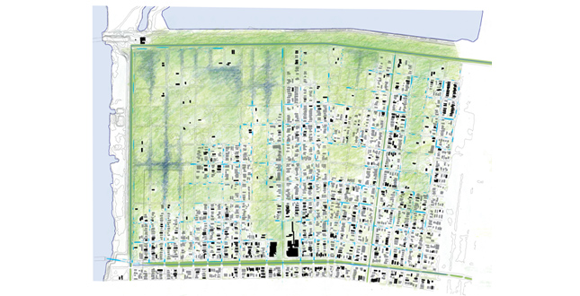 Puddlescape : Freshwater Marsh and the Urban Matrix