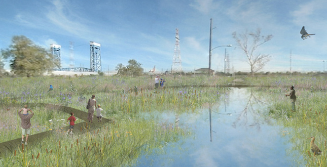 Puddlescape : Freshwater Marsh and the Urban Matrix