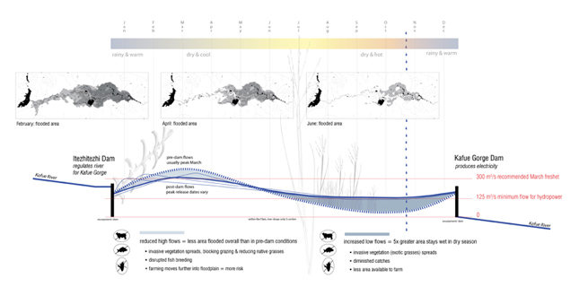 Flood, Flow, Flux: Livelihoods on the Kafue Flats, Zambia