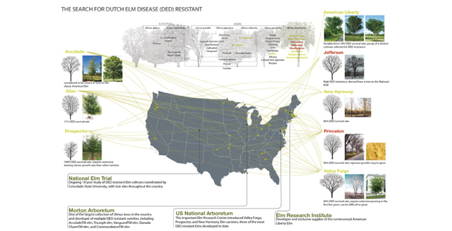 Designing the Ecology of Democracy