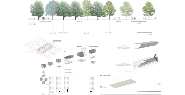 Designing the Ecology of Democracy