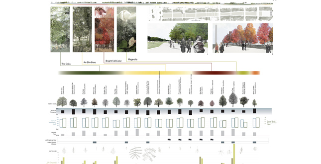 Designing the Ecology of Democracy