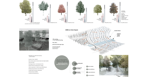 Designing the Ecology of Democracy