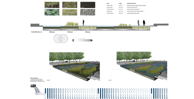 Designing the Ecology of Democracy