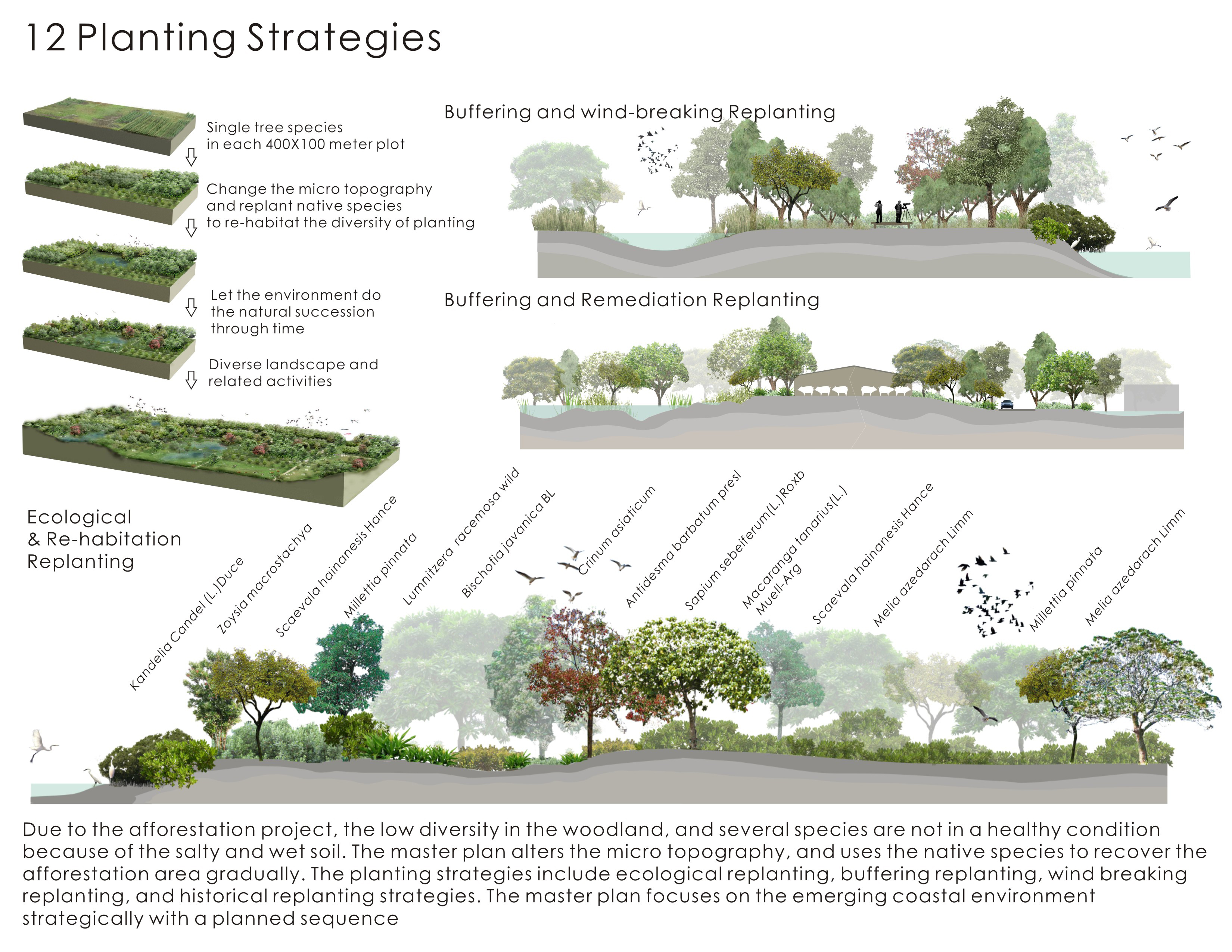 ASLA 2011 Professional Awards | An Emerging Natural ...