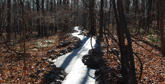 Stone River