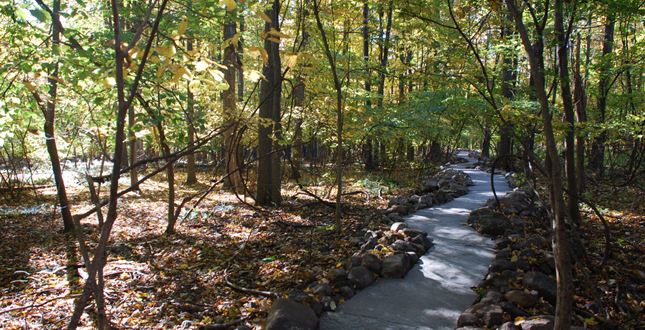 Stone River