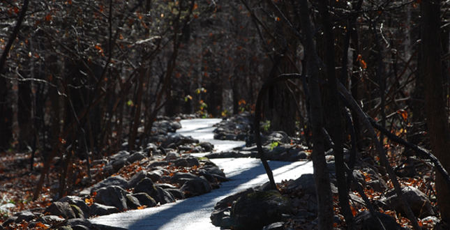 Stone River