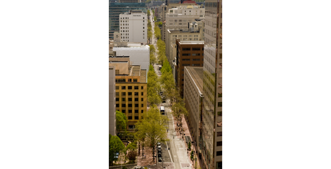 The Portland Mall Revitalization Project