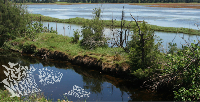 An emerging Natual Paradise - Aogu Wetland & Forest Park Master Plan