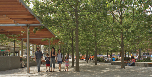 Contrasting Shade: Building a Sustainable Urban Grove Central Warf Plaza