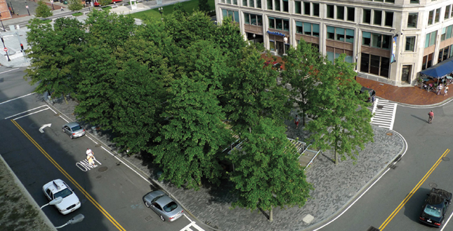 Contrasting Shade: Building a Sustainable Urban Grove Central Warf Plaza