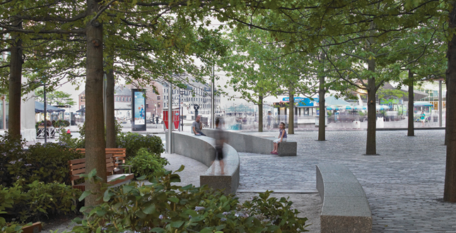 Contrasting Shade: Building a Sustainable Urban Grove Central Warf Plaza