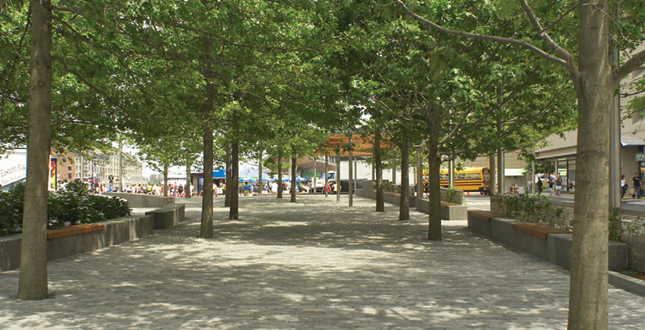 Contrasting Shade: Building a Sustainable Urban Grove Central Warf Plaza