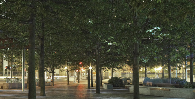 Contrasting Shade: Building a Sustainable Urban Grove Central Warf Plaza