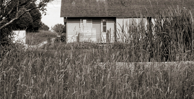 A Farm at Little Compton