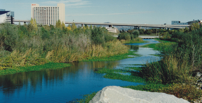 First San Diego River Improvement Project (FISDRIP)