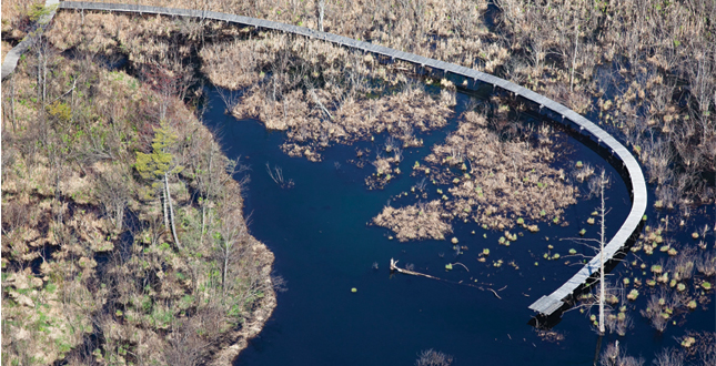 Half-Mile, Hand-Built Line: Berkshire Boardwalk