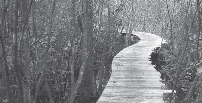 Half-Mile, Hand-Built Line: Berkshire Boardwalk