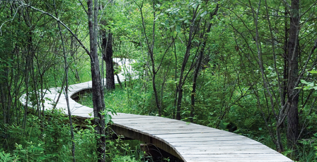 Half-Mile, Hand-Built Line: Berkshire Boardwalk