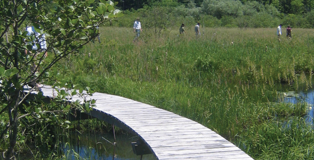 Half-Mile, Hand-Built Line: Berkshire Boardwalk