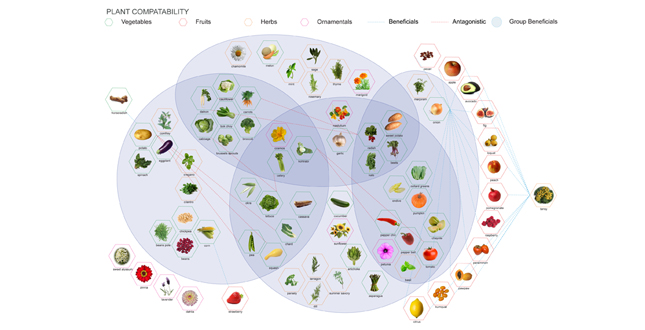 Backyard Farm Service: A Business Plan for Localizing Food Production