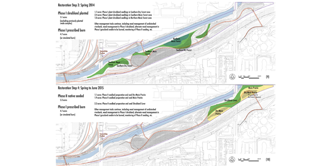 Making a Wild Place in Milwaukee's Urban Menomonee Valley