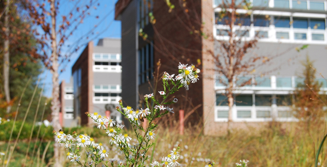 Manassas Park Elementary School (MPES) and Pre-Kindergarten