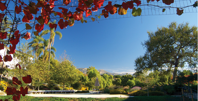 Casa nueva: Working in the Garden