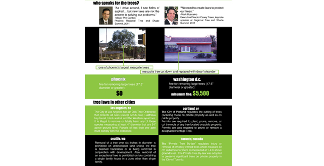 Achieving the Goal of 25 Percent Canopy Coverage in Phoenix by 2030