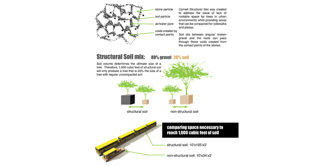 Achieving the Goal of 25 Percent Canopy Coverage in Phoenix by 2030