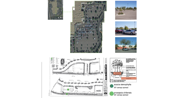 Achieving the Goal of 25 Percent Canopy Coverage in Phoenix by 2030