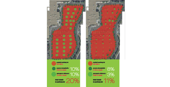 Achieving the Goal of 25 Percent Canopy Coverage in Phoenix by 2030