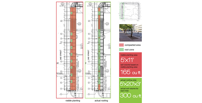 Achieving the Goal of 25 Percent Canopy Coverage in Phoenix by 2030