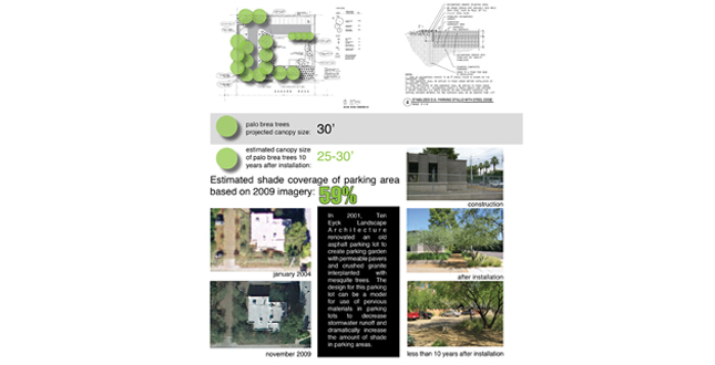Achieving the Goal of 25 Percent Canopy Coverage in Phoenix by 2030