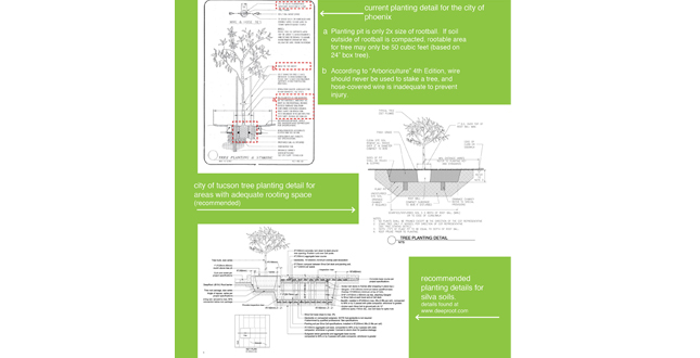 Achieving the Goal of 25 Percent Canopy Coverage in Phoenix by 2030