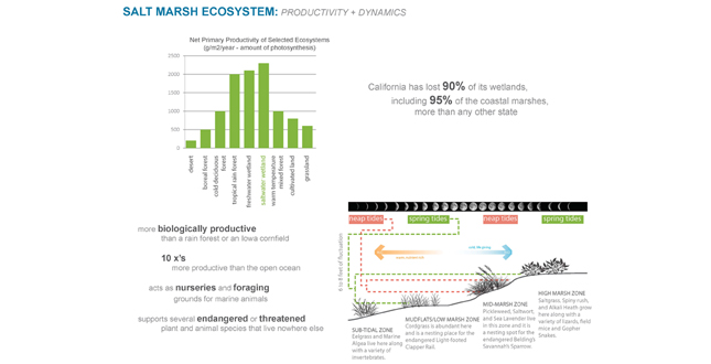 Boisa Intervention: Stategizing Performative Ecologies