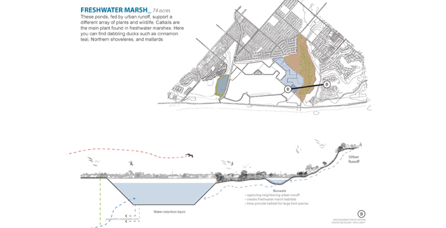 Boisa Intervention: Stategizing Performative Ecologies