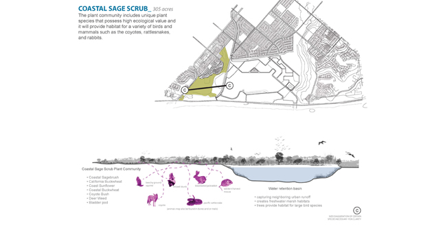 Boisa Intervention: Stategizing Performative Ecologies